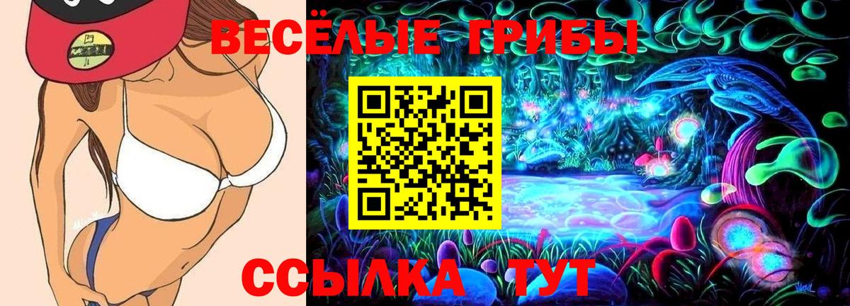 Галлюциногенные грибы Cubensis Псков